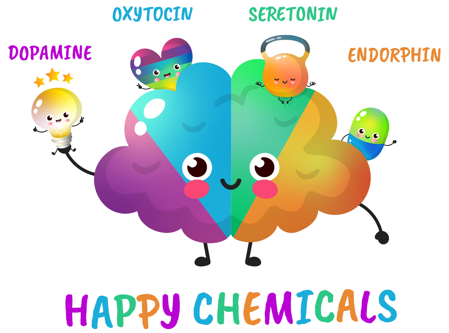 dopamine, oxytocin, seretonin, endorphhin, happy chemicals